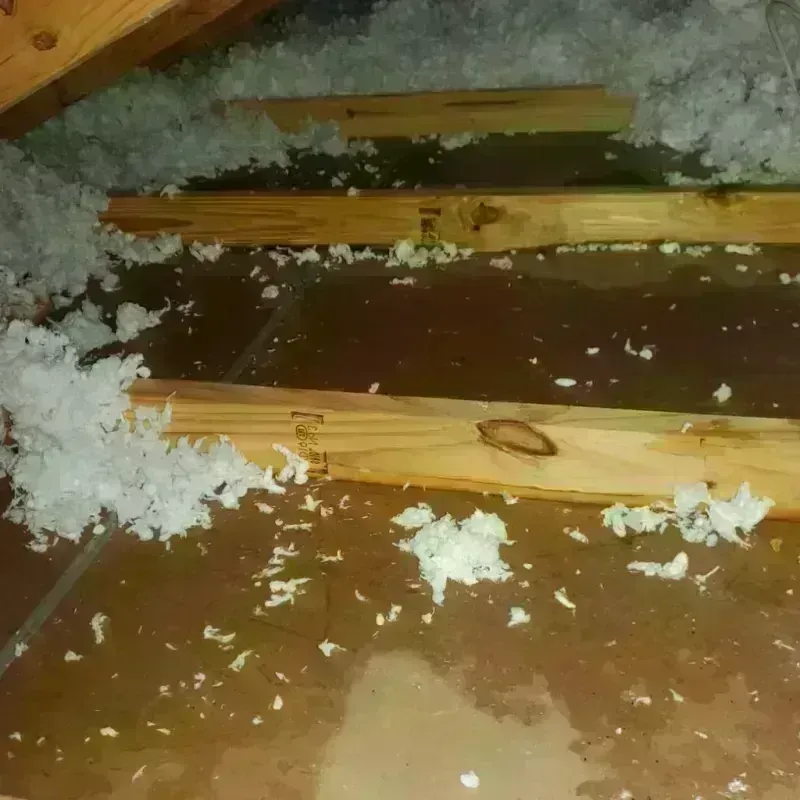 Attic Water Damage in Sidney, IA