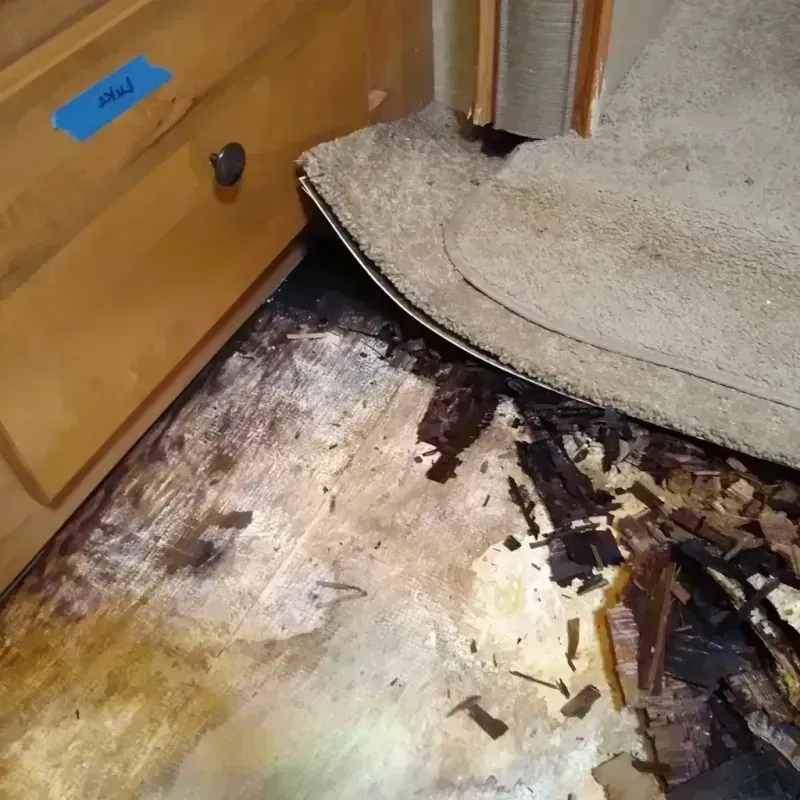 Wood Floor Water Damage in Sidney, IA